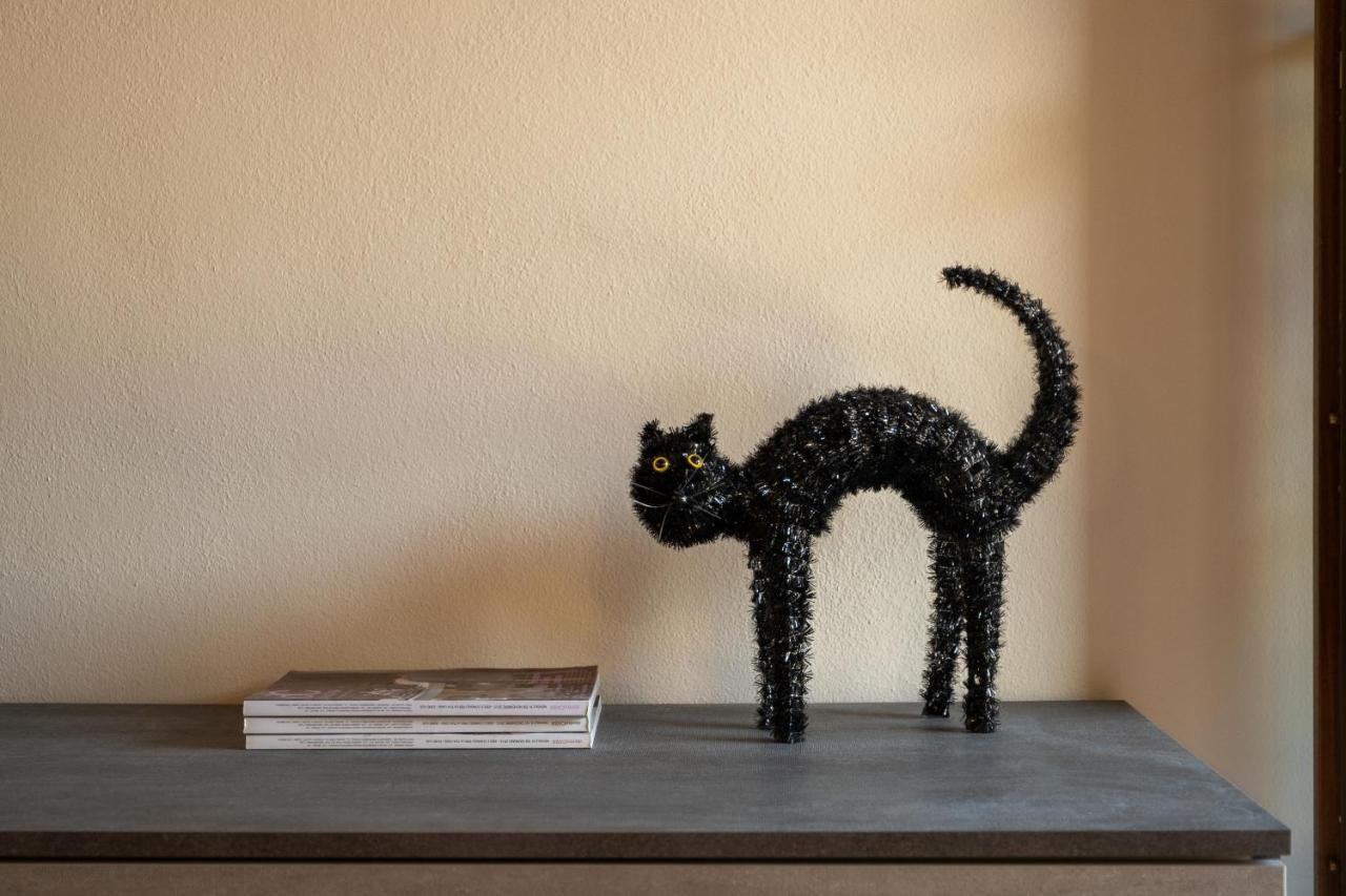 Appartement Casa Del Gatto à Paratico Extérieur photo